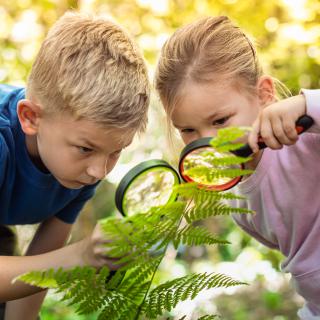 Biologická olympiáda kategória C
